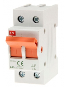 2 Pole Disconnector 125A - LS