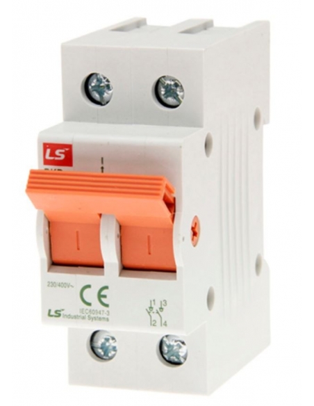 2 Pole Disconnector 125A - LS