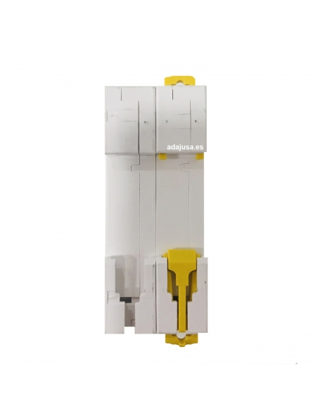 Interruttore 2 poli 50A (2x50A) IC60N C 6kA - Schneider