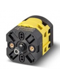Three-phase star-delta switch 20A - Giovenzana