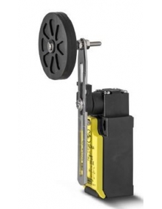 Stroke end short adjustable lever with 50mm roundbar FTN Series - Giovenzana