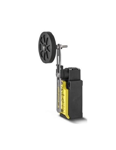 Stroke end short adjustable lever with 50mm roundbar FTN Series - Giovenzana