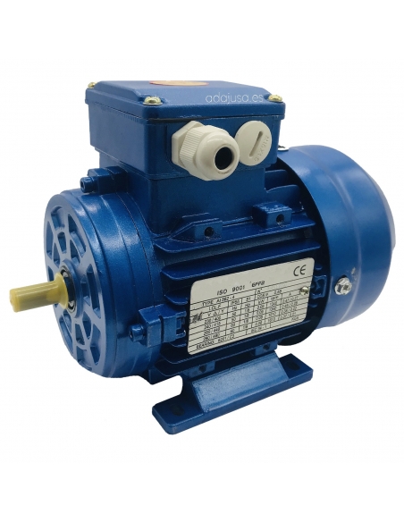 Three-phase motor 0.12Kw/0.16CV 230/400V 3000 rpm B3 foot flange