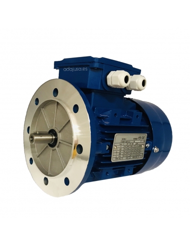 Three-Phase Cast Electric Motor 1.5Kw 2HP 230/400V  230/400V Flange B5 3000 | ADAJUSA