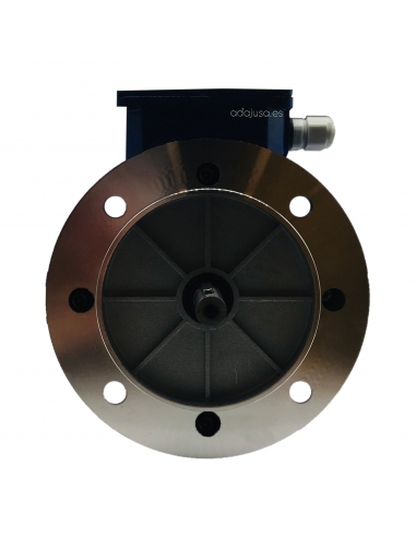 Single-phase electric motor 0.25Kw 0.33HP 230V B5 1500 high torque | ADAJUSA