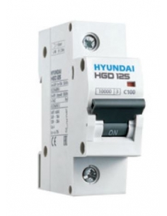 Interruttore 1 Polo 80A 10kA - Hyundai Electric