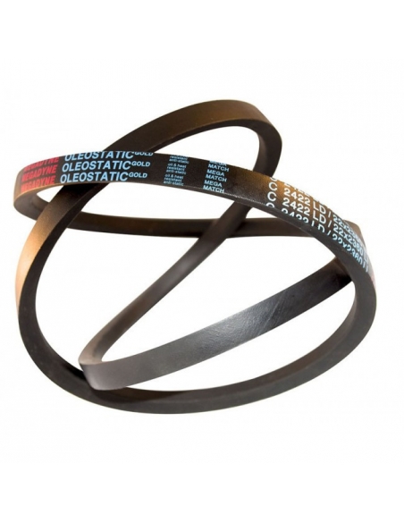 cinghia trapezoidale sezione B Oro Oleostatico B30 17x762mm - Main Image