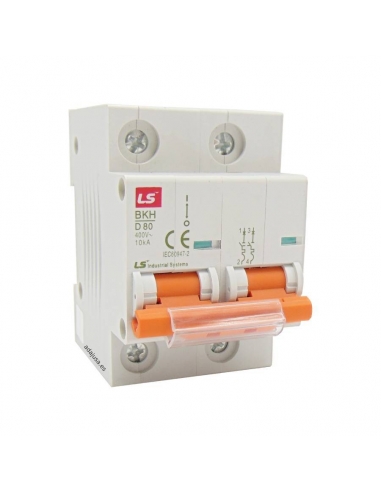 MCB circuit breaker 2 poles 63A 10kA (2x63A) -  LS