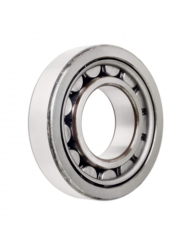 Cuscinetti a rulli cilindrici NJ-207 35x72x17mm ISB - ADAJUSA