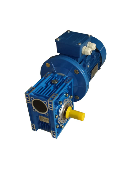 Motoriduttore monofase 0.37kW 0.5CV 230Vac 1500 giri ratio 15 T40 (94rpm)