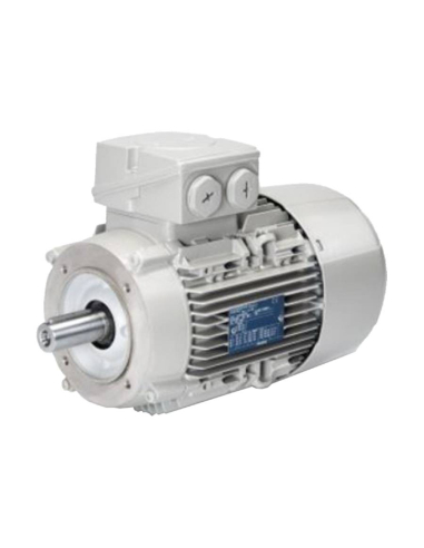 Three-phase motor 2.2Kw/3CV 3000 rpm Flange B14 - IE3 - Siemens FL