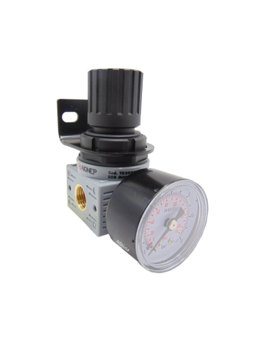 Regolatore di pressione 1/4 0-12 bar completo serie FRL MINI - Aignep