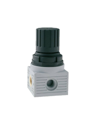 Regolatore scarico rapido 1/4 0-12 bar serie FRL MINI - Aignep