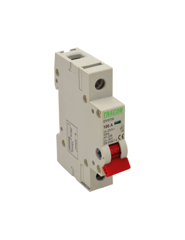 Sezionatore 1 Polo 32A - Tracon