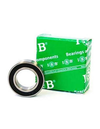 Bearing 6011-2RS INOX 55x90x18mm ISB