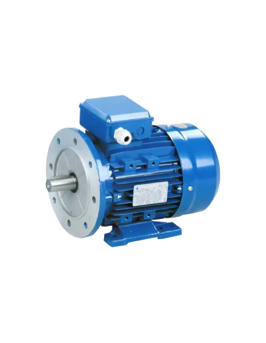 Motore trifase 0,18kW/0,25CV 230/400V 3000 giri flangia B35 carcassa ridotta