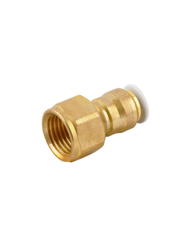 Raccordo diritto femmina 1/8 tubo 6mm uso alimentare e acqua potabile Serie 59000 FOOD - Aignep