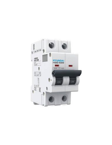 Interruttori 2 poli 16A (2x16A) curva D - Hyundai Electric