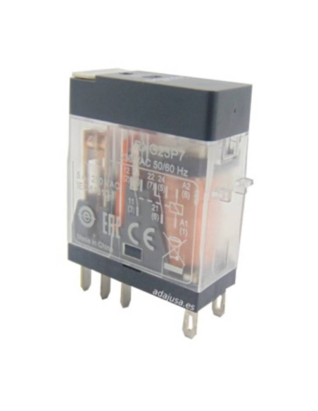 Relè 2 contatti 24Vdc 5A RXG serie SCHNEIDER | ADAJUSA | prezzo