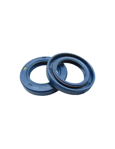 Radial seal 25x55x10 double lip TC NBR Blue