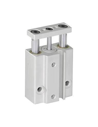Cilindro pneumatico compatto doppia guida 10x5mm doppio effetto - Mindman