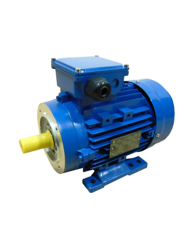 Motore elettrico monofase 3,7Kw 5CV 230V B34 3000 coppia elevata | ADAJUSA | prezzo