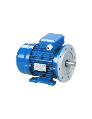 Motore monofase 0,12Kw 0,16CV 230V 3000 giri mezza coppia di spunto, flangia B35