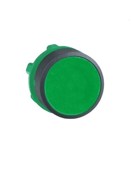 Testa a pulsante verde XB5 SCHNEIDER | ADAJUSA | prezzo
