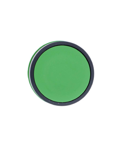 Green flush push button head XB5 SCHNEIDER | ADAJUSA : price