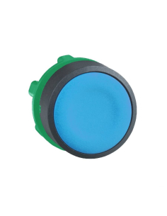 Blue flush push button head XB5 SCHNEIDER | ADAJUSA : price