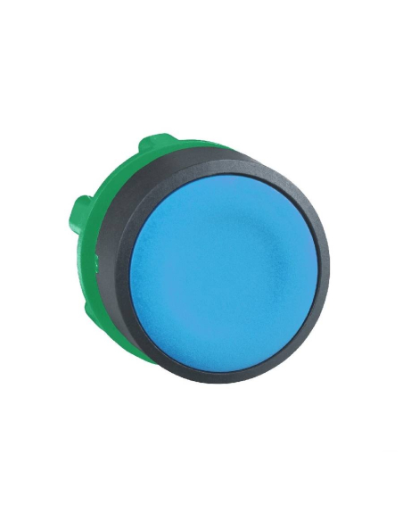 Blue flush push button head XB5 SCHNEIDER | ADAJUSA : price
