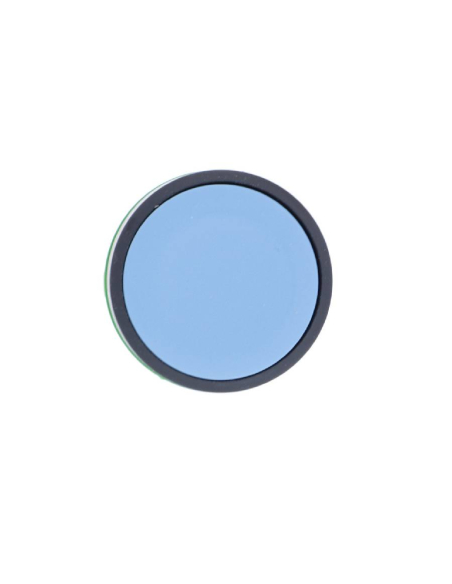 Blue flush push button head XB5 SCHNEIDER | ADAJUSA : price