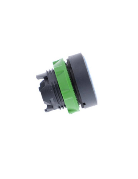 Blue flush push button head XB5 SCHNEIDER | ADAJUSA : price