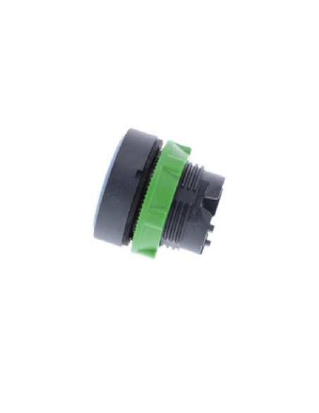 Blue flush push button head XB5 SCHNEIDER | ADAJUSA : price