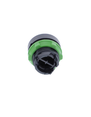 Blue flush push button head XB5 SCHNEIDER | ADAJUSA : price