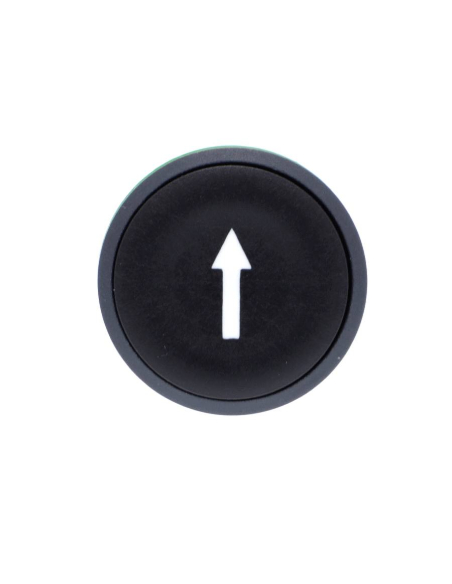 Black flush push button head with arrow XB5 SCHNEIDER : ADAJUSA : price