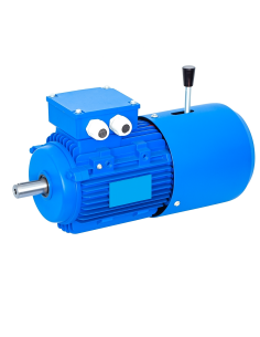 Motore trifase per freni 0,18Kw 0,25CV Flangia B5 4 poli 1500 giri: ADAJUSA : prezzo