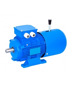 Three-phase brake motor 0,37Kw 0,5CV Flange B34 legs 4 poles 1500 rpm | ADAJUSA : price