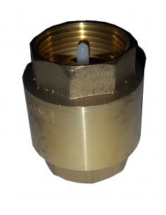 Valvola di ritegno 2 1/2" serie Europa - ADAJUSA