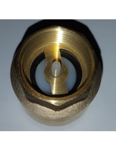 Valvola di ritegno 2 1/2" serie Europa - ADAJUSA 2