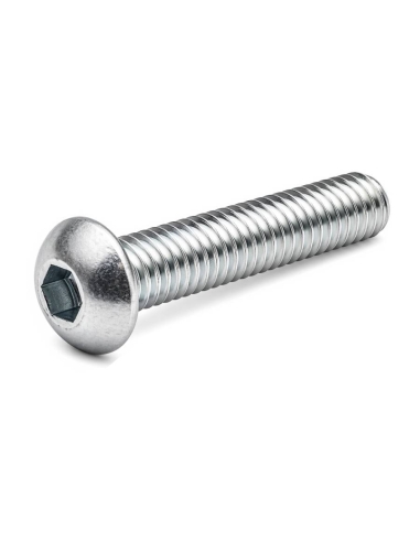 Vite allen testa rotonda M6x10mm zincato : ADAJUSA : prezzo