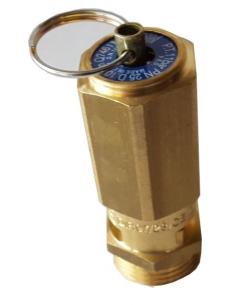 Valvola di sicurezza (sovrapressione) 1/4" 6 Bar 2