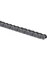 Neptune Roller Chains (Anti-Corrosion)