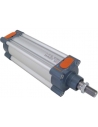 Pneumatic cylinders 100