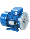 Motori monofase 3000 giri flange B35 (Gambe) coppia elevata