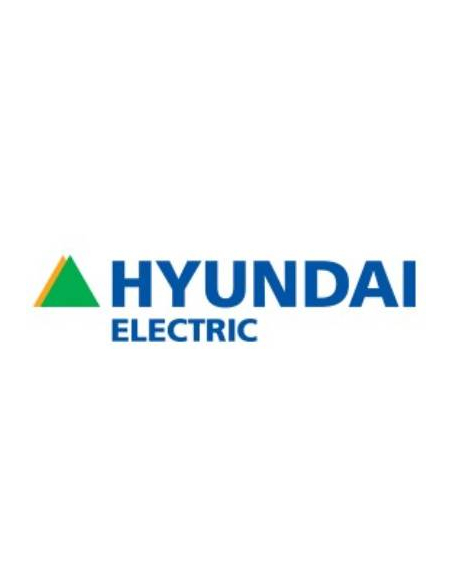 Hyundai Electric